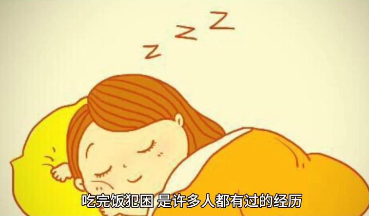 为什么人吃完饭后会犯困? - 品悦舍