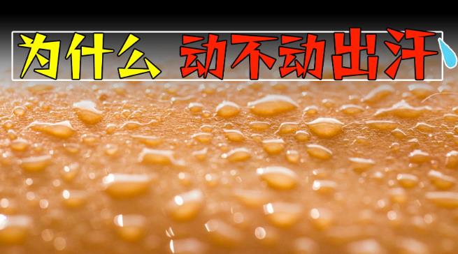 为什么有的人特容易出汗,有的人却几乎不出汗? - 品悦舍