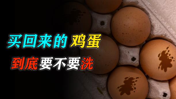 买回来的鸡蛋,到底要不要洗? - 品悦舍