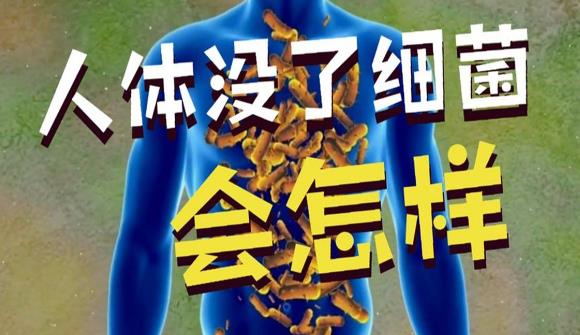 如果人体内所有细菌全部消失,会发生什么? - 品悦舍