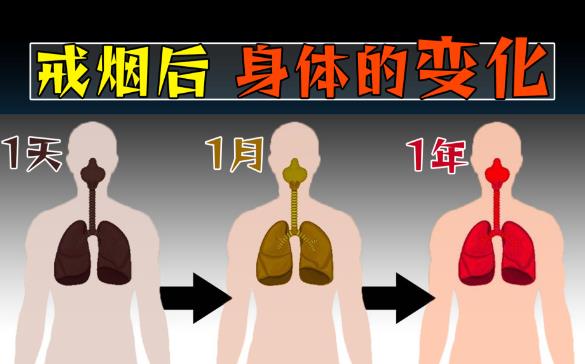 戒烟后,变黑的肺还能完全恢复正常吗? - 品悦舍