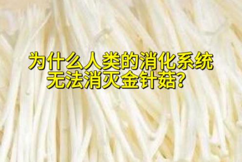 为什么人类的消化系统,无法消灭金针菇? - 品悦舍