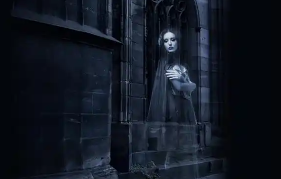 一探究竟:2024必读惊悚小说推荐 - 品悦舍