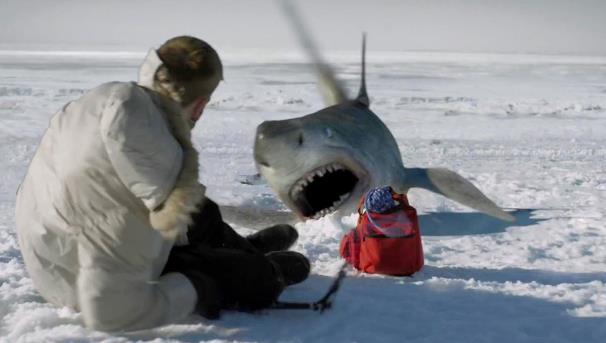 鲨影迷踪:从银幕巨齿到生态之思 - 品悦舍